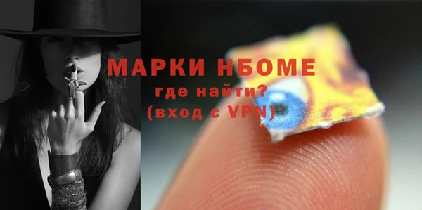 прущие грибы Абинск