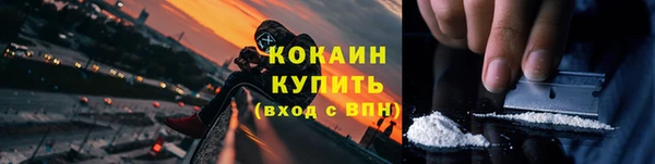 прущие грибы Абинск