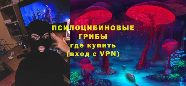 spice Нягань