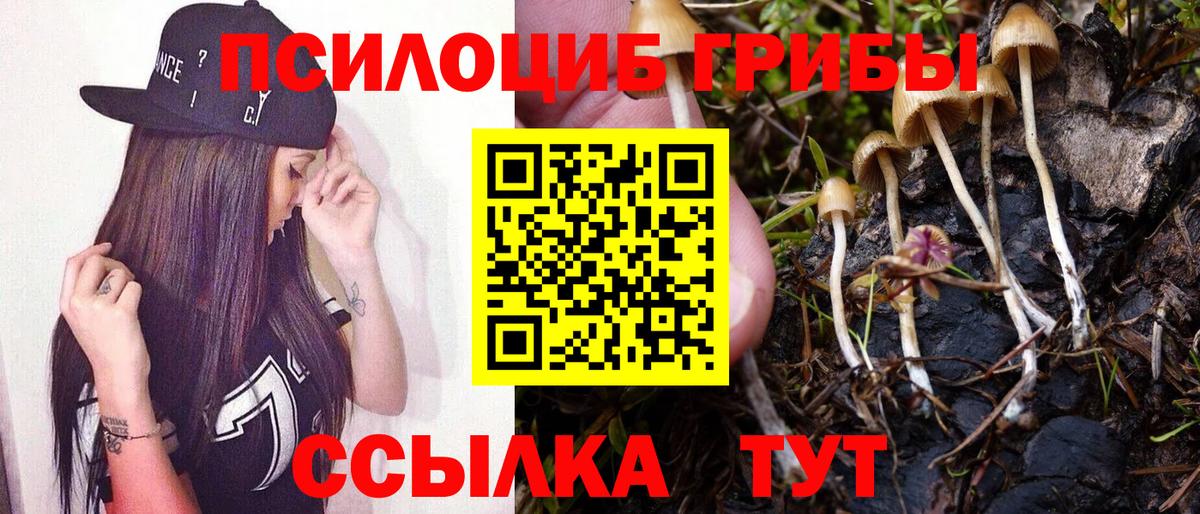 Псилоцибиновые грибы Cubensis Советская Гавань
