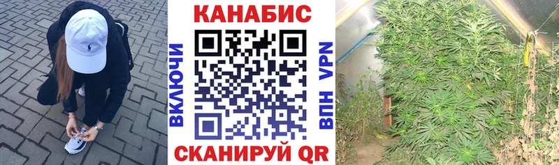 Бошки Шишки SATIVA & INDICA Советская Гавань